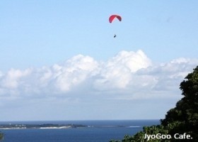 Jyogoo Cafe 自家焙煎珈琲喫茶 情報一覧 沖縄で定番 おすすめのグルメスポット 沖縄観光情報webサイト おきなわ物語