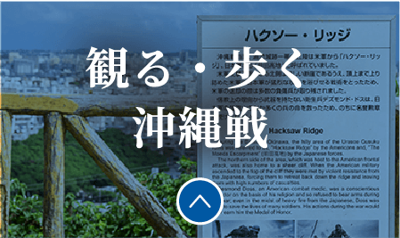 映画・スポット紹介