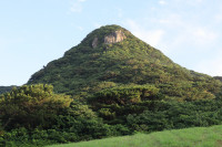 世界自然遺産にも登録！海だけじゃない沖縄の山や自然の魅力