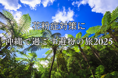 花粉症対策に！沖縄で過ごす避粉の旅2025