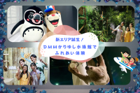 新エリア誕生!DMMかりゆし水族館でふれあい体験
