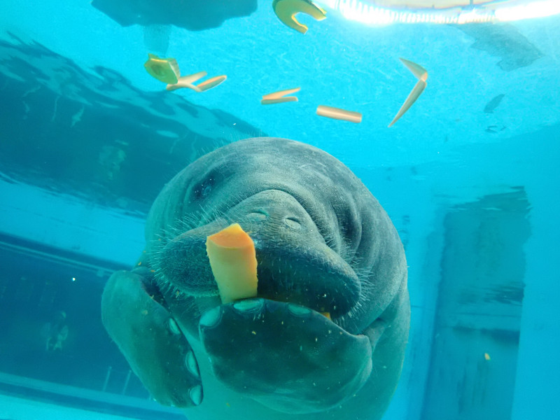 国営沖縄記念公園（海洋博公園）・沖縄美ら海水族館