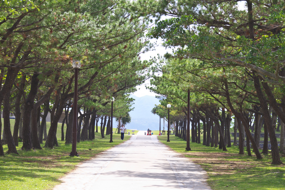 21世紀の森公園