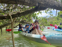 当日予約OK_ マングローブカヤックならブルーフィールド