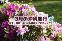 3月の沖縄 旬のおすすめ!