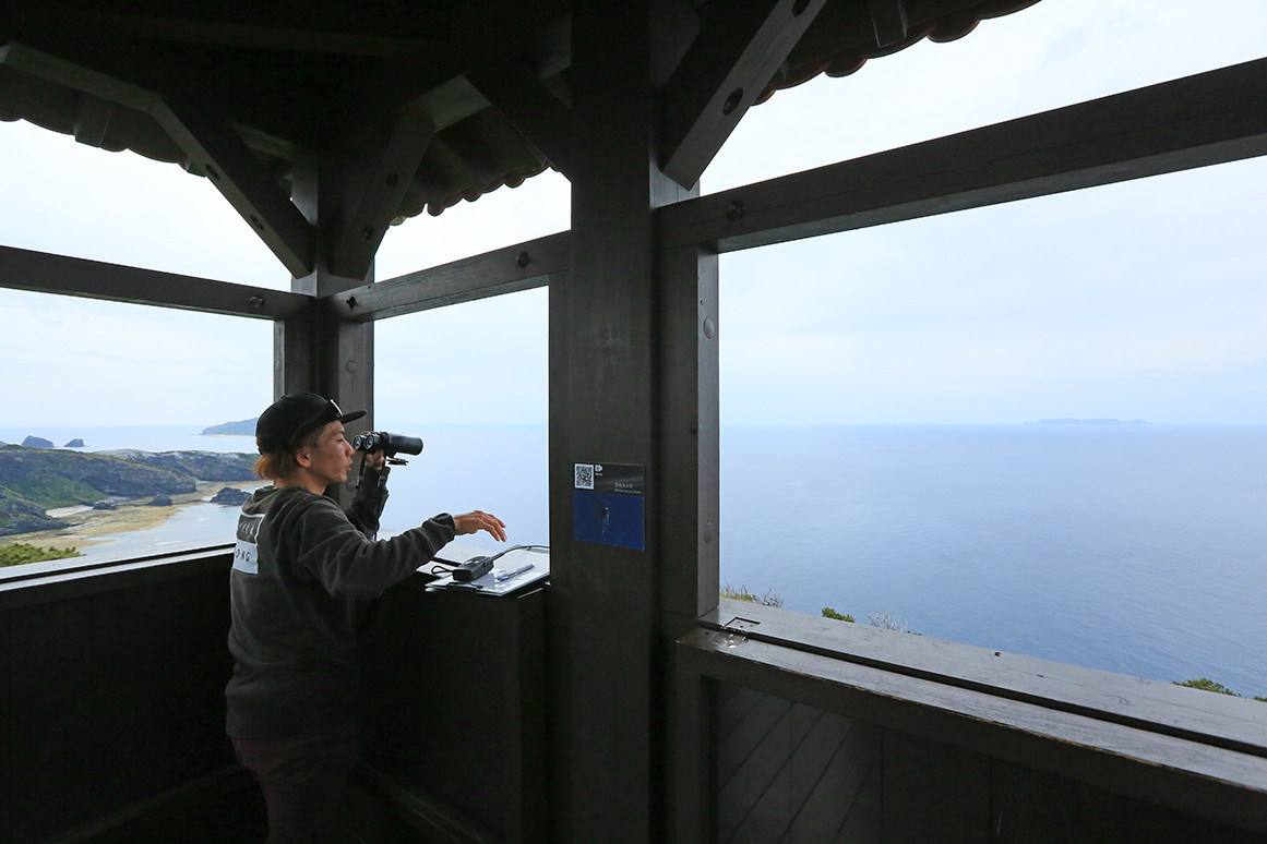 ©一般社団法人座間味村ホエールウォッチング協会