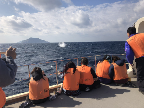 ©一般社団法人座間味村ホエールウォッチング協会