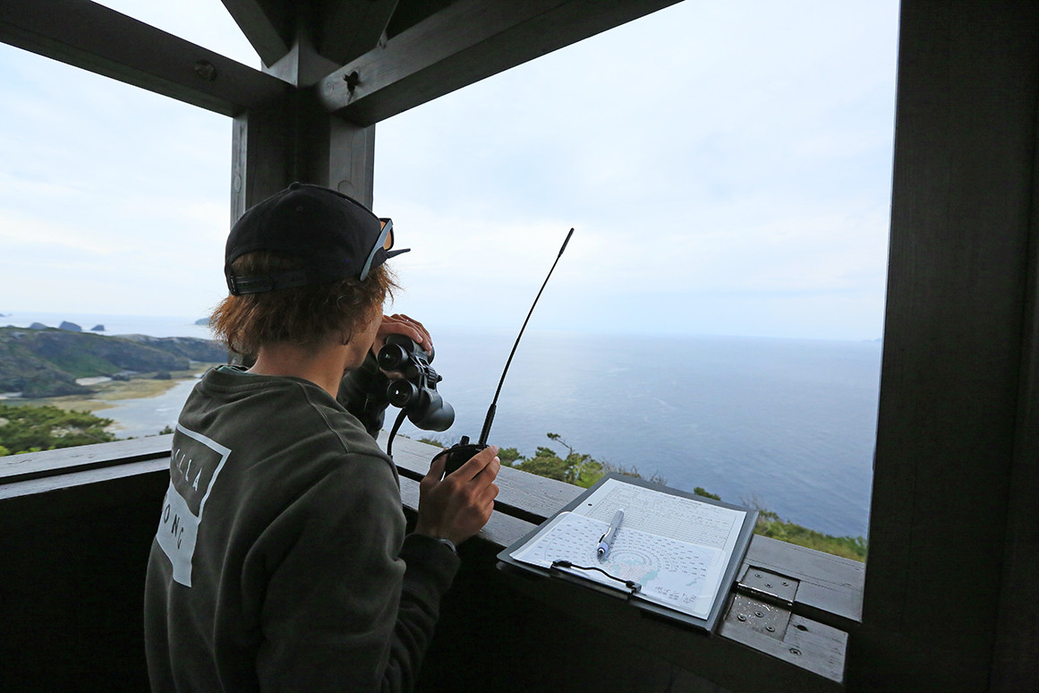 ©一般社団法人座間味村ホエールウォッチング協会