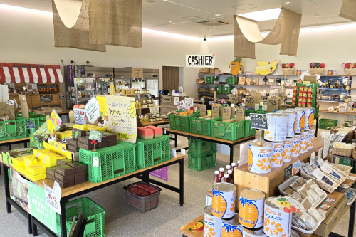 やんばるの食にまつわるものをセレクトし販売する「アグリストアー」