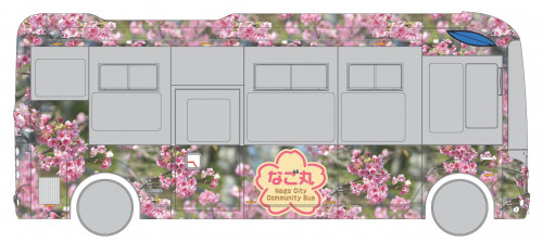 名護市のシンボル、カンヒザクラ