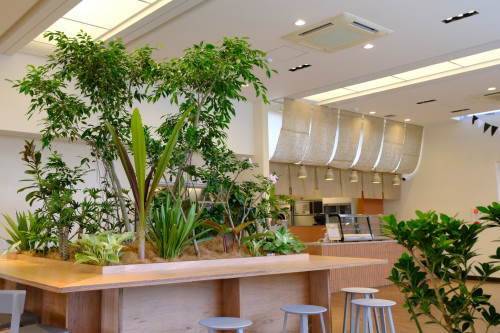 やんばるの地域食材を使ったメニューを提供する「アグリテーブル レストラン&カフェ」