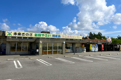 未来ぎのざ外観