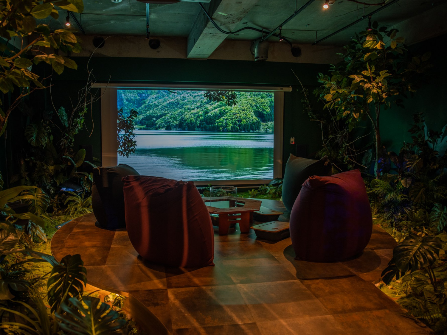 森の中秘密基地エリア