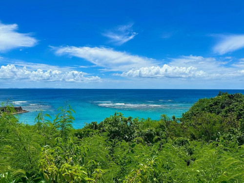 お店の前に広がる青い海