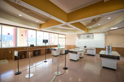 津田道子氏|作品