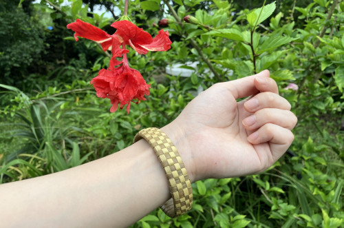 民泊TAROYA(体験:アトリエコアラ二)