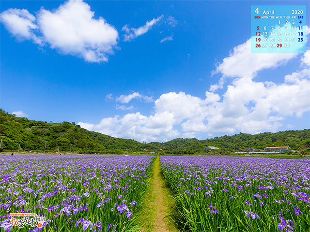 4月の壁紙カレンダー お知らせ トピックス 沖縄観光情報webサイト おきなわ物語