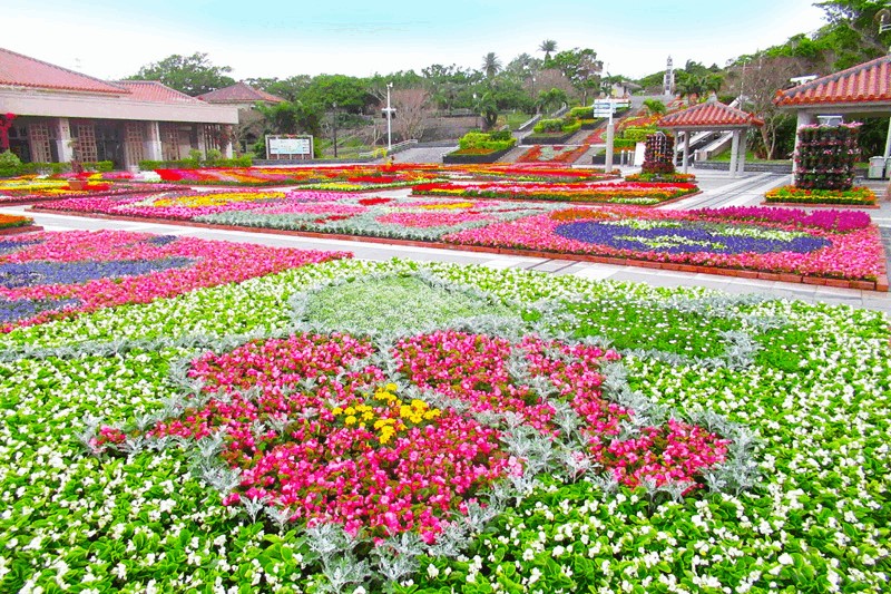 フラワーイベント Flower Trip おきなわ 特集 沖縄観光情報webサイト おきなわ物語