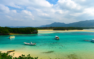 沖縄のサンゴの種類