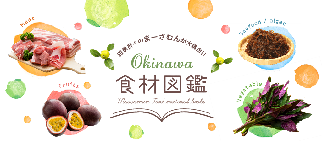四季折々の美味しい食材が集合 沖縄食材図鑑 沖縄観光情報webサイト おきなわ物語